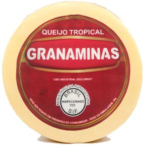 Queijo Parmesão Tropical Granaminas